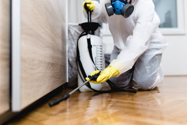 Best Emergency Pest Control  in Kingston, WA