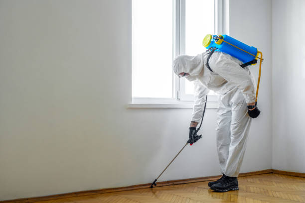 Best Affordable Pest Control Services  in Kingston, WA